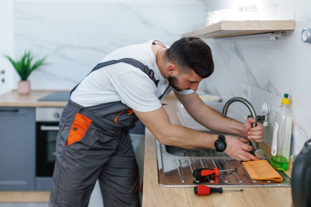 Best Water Softener Installation  in Spirit Lake, IA
